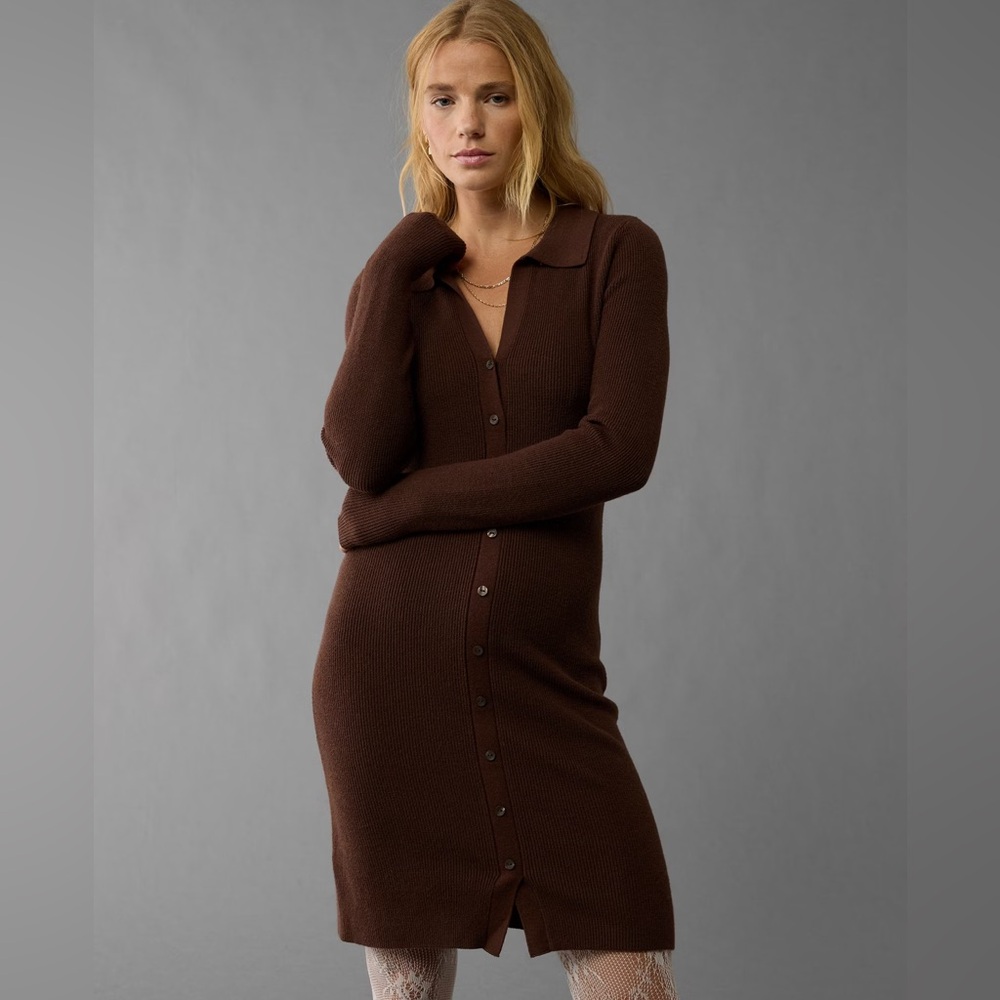 American Eagle Outfitters Brown Long Sleeve Button-Front Knit Dress